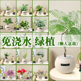 �Gֲ�҃�С��������G�}�׻��ļ��m�ϑ����B�Ļ��k����ֲ���׃��@