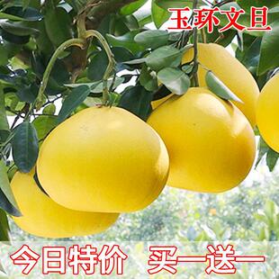 ��h�ĵ�����޽��������ĵ����Ә��箔��Y�������ϱ����N������