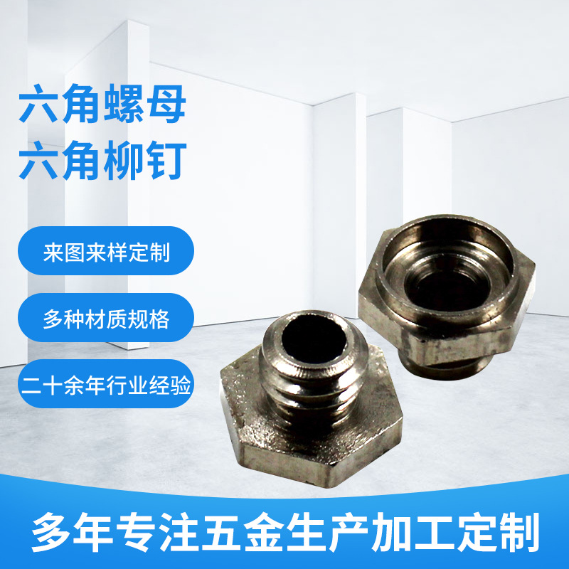 内外丝接头六角螺母通孔螺丝温度计接头螺丝气缸喷嘴六角柳钉定