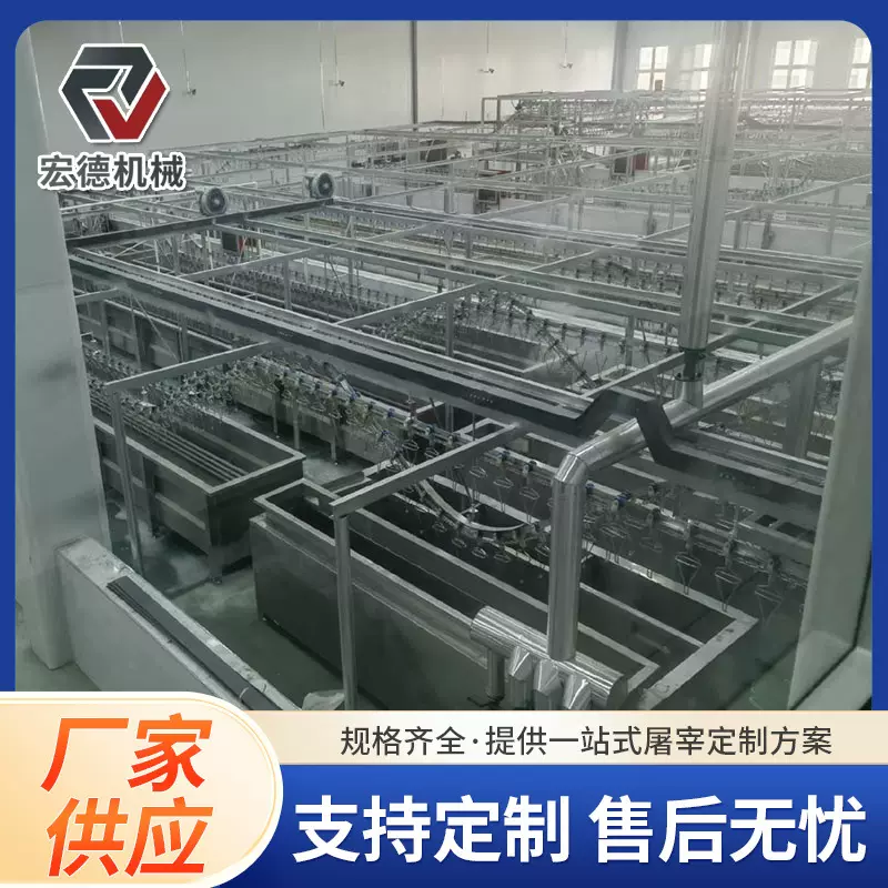 淘汰蛋鸡全新浸烫脱流水线家禽屠宰拔毛设备淘汰蛋鸡电晕机