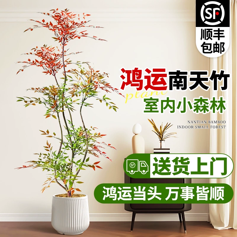 Искусственное бонсай-растение Нандина в горшке для гостиной, большое зеленое растение для офиса, пламенный сучок для процветания, вечнозеленое в любое время года.