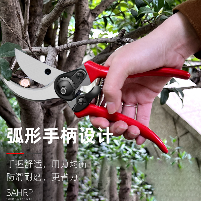 盆栽造型修枝剪刀 园林果树修枝剪 园艺修花枝剪刀