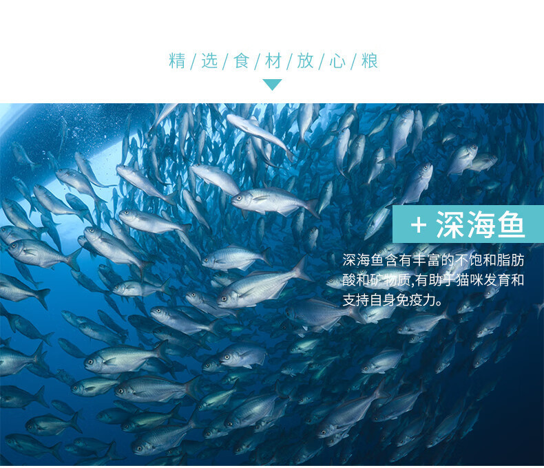 af9420ee-8f31-407e-9176-2ed7dbd35464.jpe