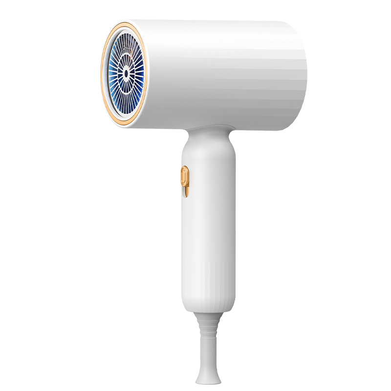 跨境欧规吹风机大功率家用负离子护发发廊专用静音学生宿舍大风力