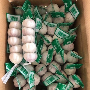 �ЬF؛С���b�ɼӼ��l؛�հ��⼃������lԴ�^�S���r�����l�r��