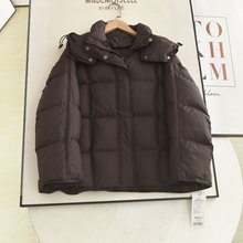 ���Qβ؛2025���¿�s���I�Bñ�����С���ӱ�ů��q������Ů