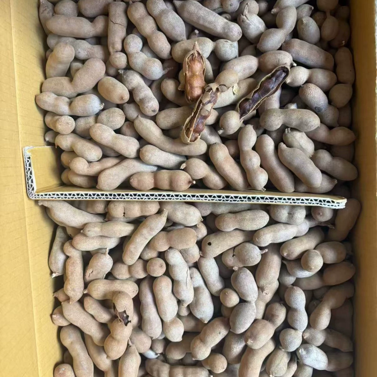 Прямая поставка от производителя: 10kg видов сладкой и кисло-сладкой кукурузы, кислые бобы, новая партия 2026 года, прямые поставки из интернет-магазина, кисло-сладкий вкус.