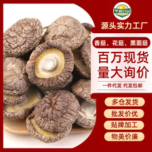 ���x��؛�㹽��؛�r���ԷN����500�� ���ζ��Ģ���ڸ��r������Ƭ