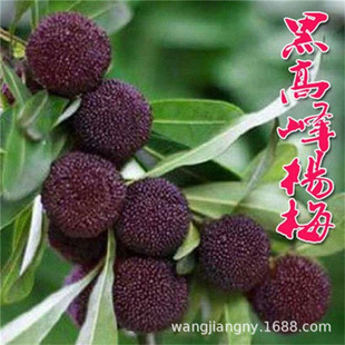 ��ᷗ�÷���������躣�|����̿�ش�������ϱ����Nֲ���Ե��d���G