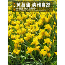 �S���ѷN���S���Sβˮ����ˮֲ����ˮ����ˮ�ݷN��������ˮ�T��