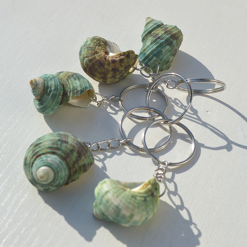 녹색 달팽이 열쇠고리