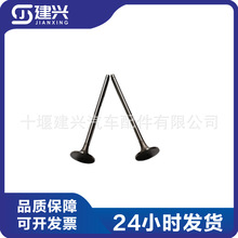 康明斯ISX15 QSX15发动机配件  4965868 4059326 4059216 进气门