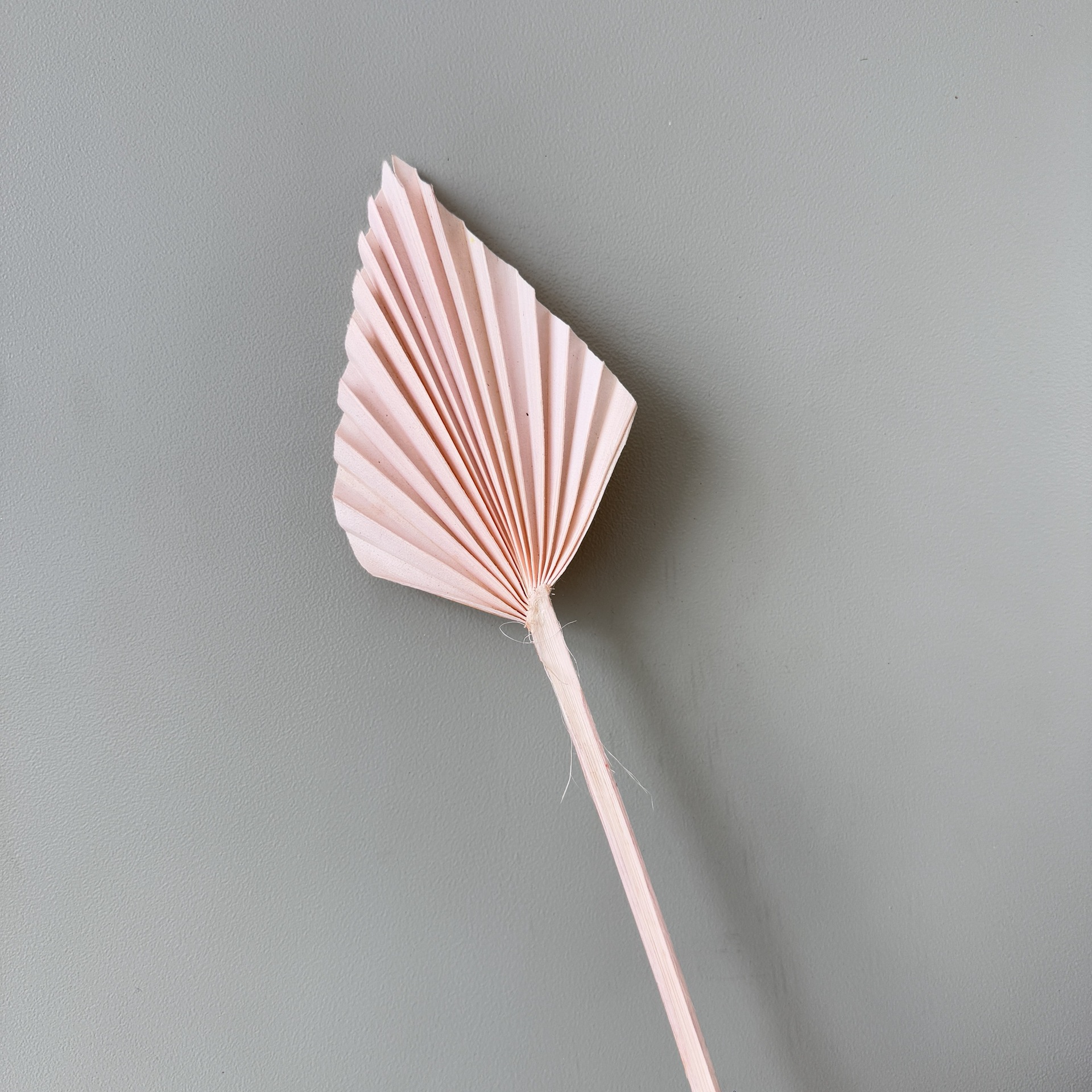 미니 라이트 핑크