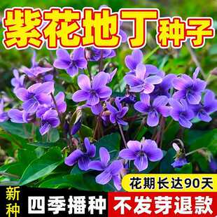 �ϻ��ض����N�����⾰�^����ͥԺ�̨���Դ����׷NҰ���˻��ܷN��