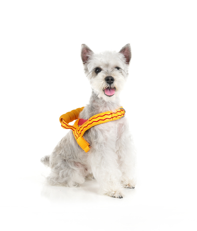 Fashionable Dog Harness With Foam Handle For Small Medium Dogs_voghion.com