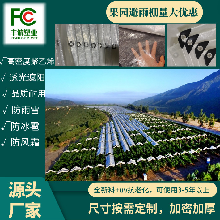 20丝厚全新料抗老化防雨布防水防雹户外篷布PE布果园猕猴桃防冻膜