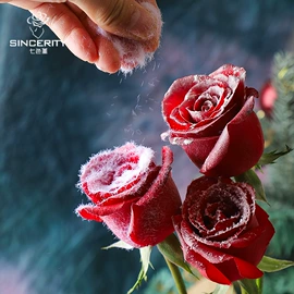 鲜花包装;其他礼品包装;鲜花花艺制品