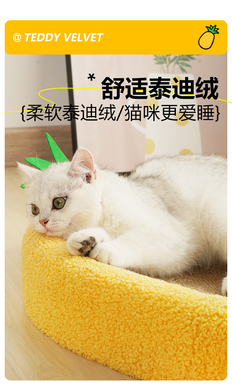 菠萝剑麻盆_04.jpg