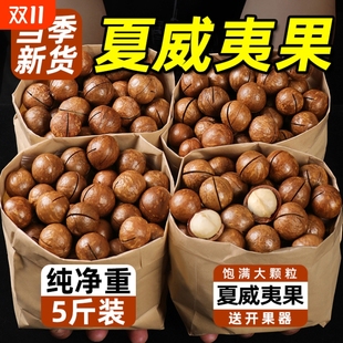 һ�����l�����Ĺ��Թ���ʳ�ɹ�����ɢ5g�b�Q���b�����l