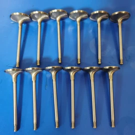 其他发动系统;气门及部件;活塞/活塞环