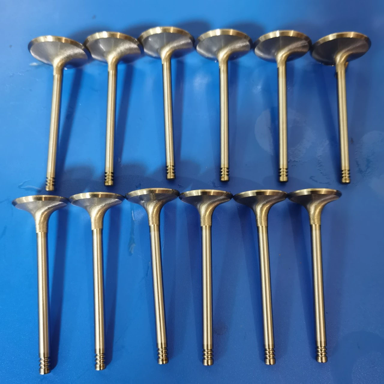 1503 1603 420254294 для моторной лодки Bombardier усиленные впускные и выпускные клапаны