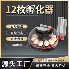 HHD温湿度表示自動卵12枚小型家庭用ひよこ孵化器