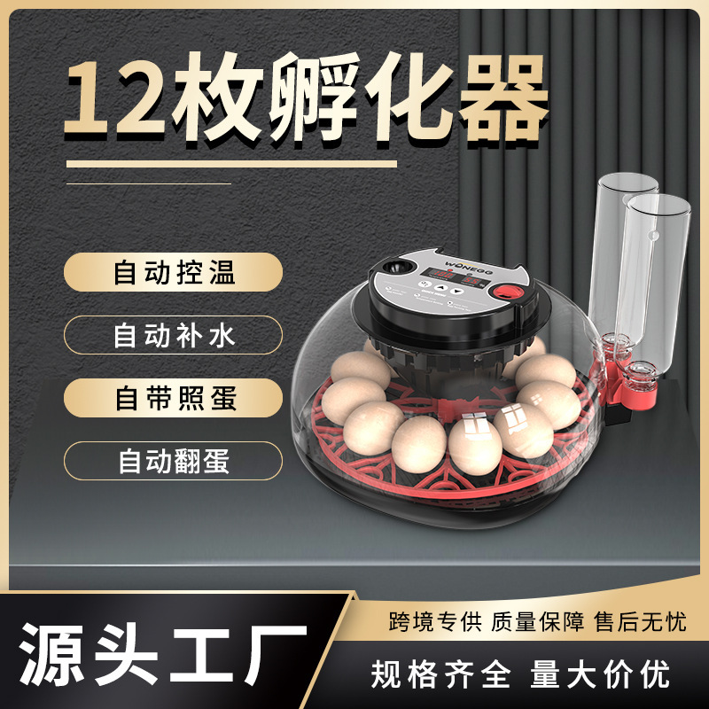 HHD温湿度表示自動卵12枚小型家庭用ひよこ孵化器|undefined