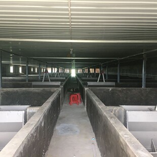 �Bֳ�������Ͼ� ʳ�� 60�Ͼ�90�Ͼ�102�Ͼ�