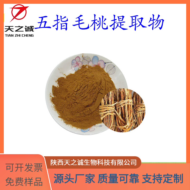 五指毛桃提取物10:1 多规格 喷雾干燥 五指毛桃粉 现货 欢迎咨询