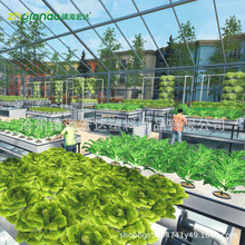 �F؛ˮ���PVCˮ��Nֲ���߲��������෽��ˮ��������߲˷Nֲ