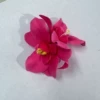 Rose Red