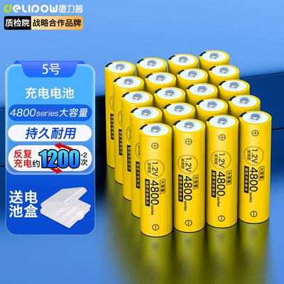 Delipu No. 5 Rechargeable Battery Hibrid akkumulyator batareyaları - no-5-4800-battery-20-cells
