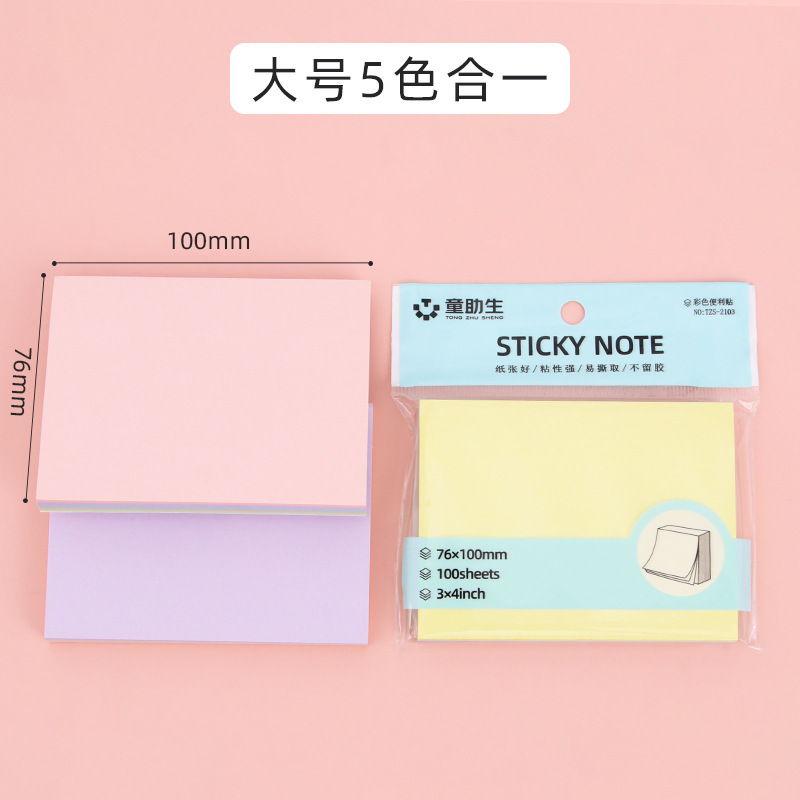 대형 5가지 컬러가 하나로