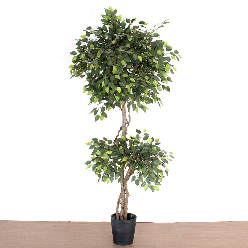 Simulación de decoración de paisajismo interior a gran escala, árbol de higuera verde, árbol de paisaje real, árbol de higuera de borde blanco, planta verde, árbol falso en maceta image 10