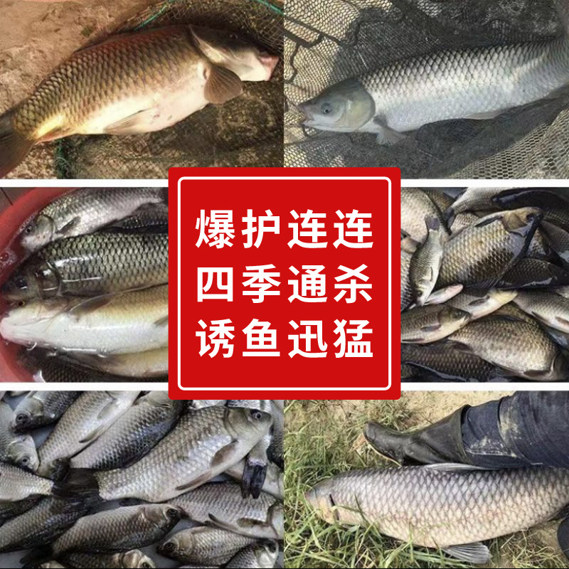 DMPT spray pescado medicina de pozo negro, cobra de hierba, cebo de pesca, aditivo de atraco de peces