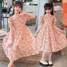 女童短袖连衣裙夏装2025新款韩版儿童洋气公主裙中大童圆领棉布裙