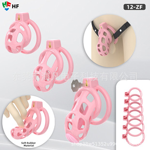 HF�������R��ܛ�zؑ���i͸��CB�iBDSM���Â�����o�i���ˎ�6�h