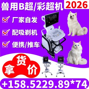��؈���R�ñ�yʽ�S�Ұl؛�Pӛ��ʽ�F�t���O�� ����y���x 2026