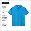 Cotton short sleeve T-shirt for early age, polo, 2688 sample, family style