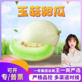 【严选】海南玉菇甜瓜 代发8斤新鲜头茬冰激凌脆瓜时令瓜当季水果