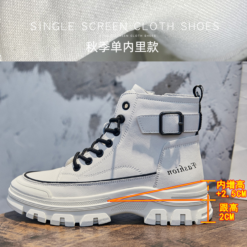 베이지 내부 높이 증가