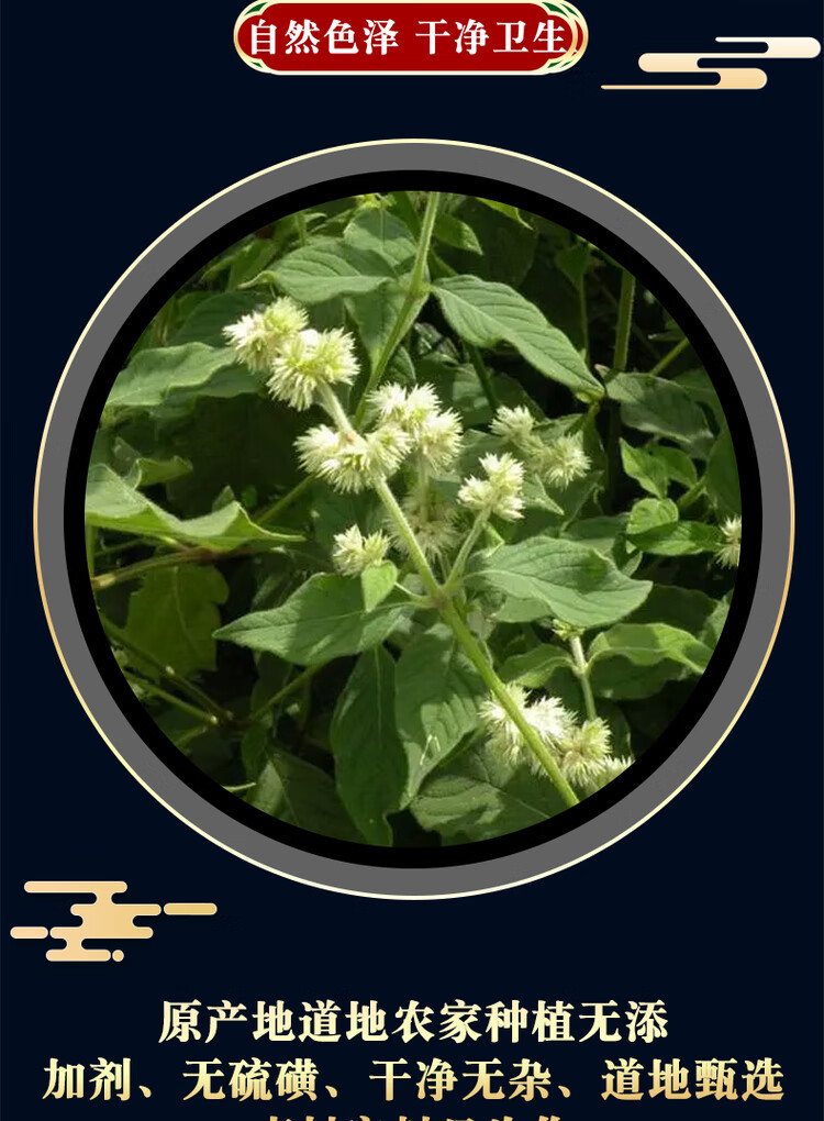 Sichuan Chuan Niu Xi Dried Cyathula Root 500g Sulfur-Free Medicinal Grade Authentic Di Dao Herb key features