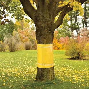 Cross-border explosives [double-sided self-adhesive anti-insect tape] tree and garden anti-insect tape anti-ant anti-climbing anti-slip