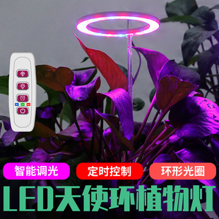 New Led Plant Growth Light Full Spectrum Indoor Angel Ring Plant Light Household Succulent Flower Planting Light 5V