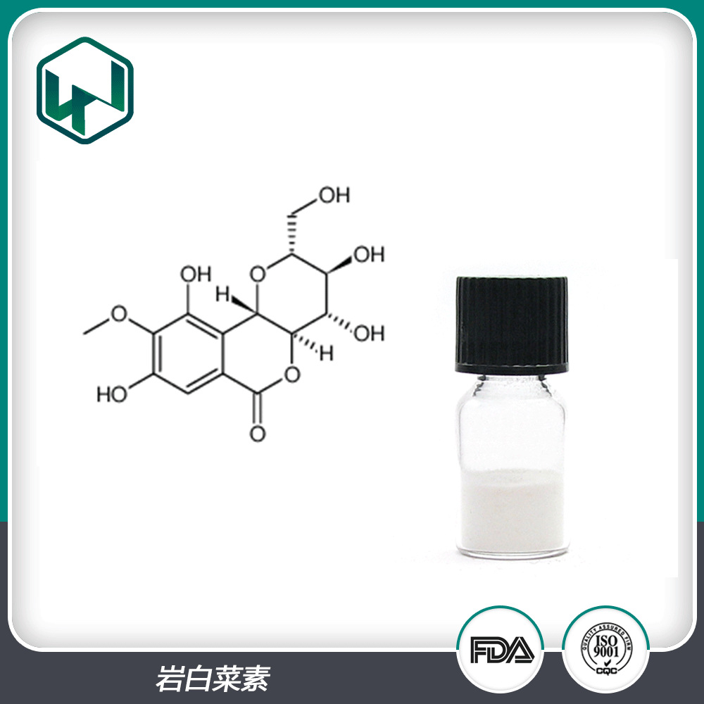 岩白菜素 98% 岩白菜提取岩白菜素食品保健原料 现货包邮量大从优