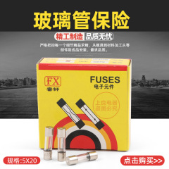 5X20 ガラス管ヒューズ F1A 2A 3A 4A 5A 6A 7A 8A 10A 15A 20A 250V