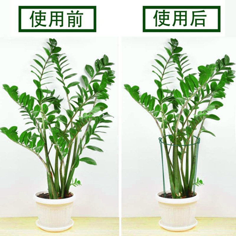 植物支持杭花園植物支持架集集集支持棒花架花園植物支持環植物ステント|undefined