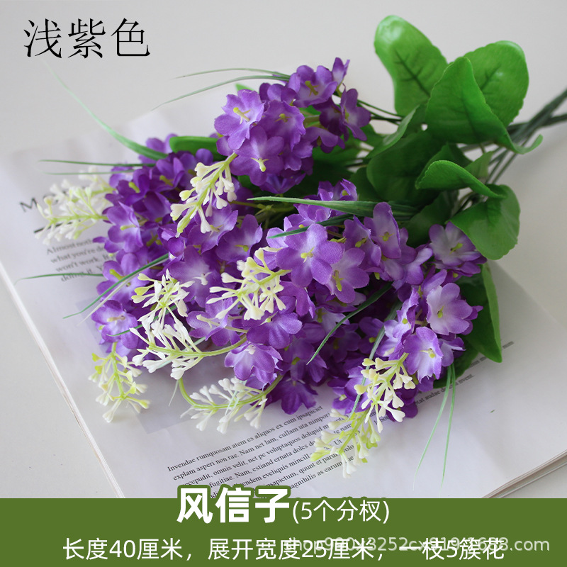 Luz púrpura Jacinto