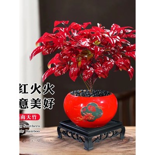�������������Զ����ͺ��t�~�Gֲ�҃���͏d�̨�ļ����Bֲ���辰