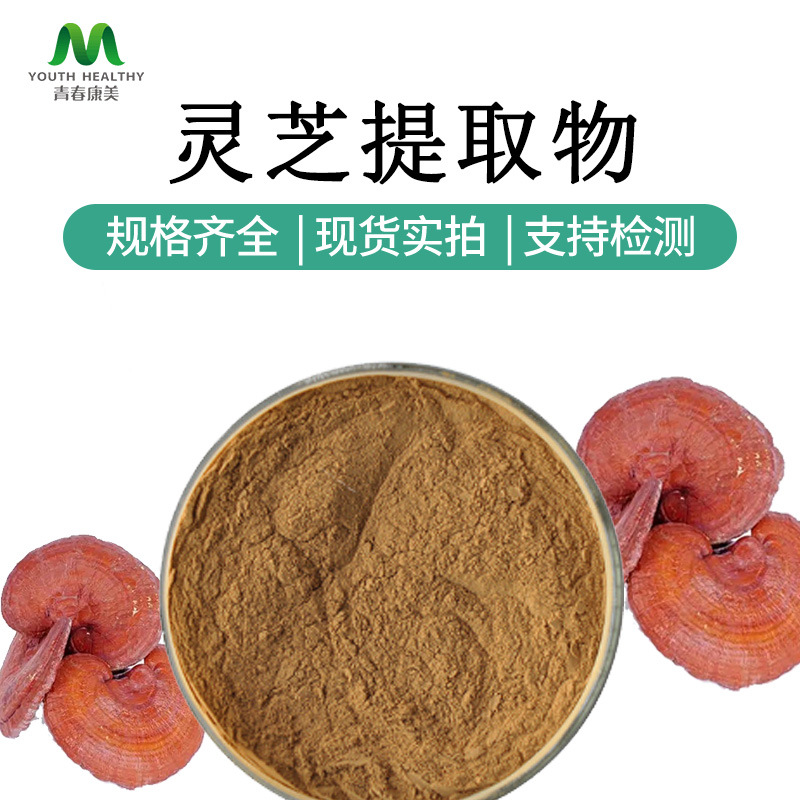 灵芝提取物10:1 灵芝浓缩粉  多种规格 量大从优  可寄样